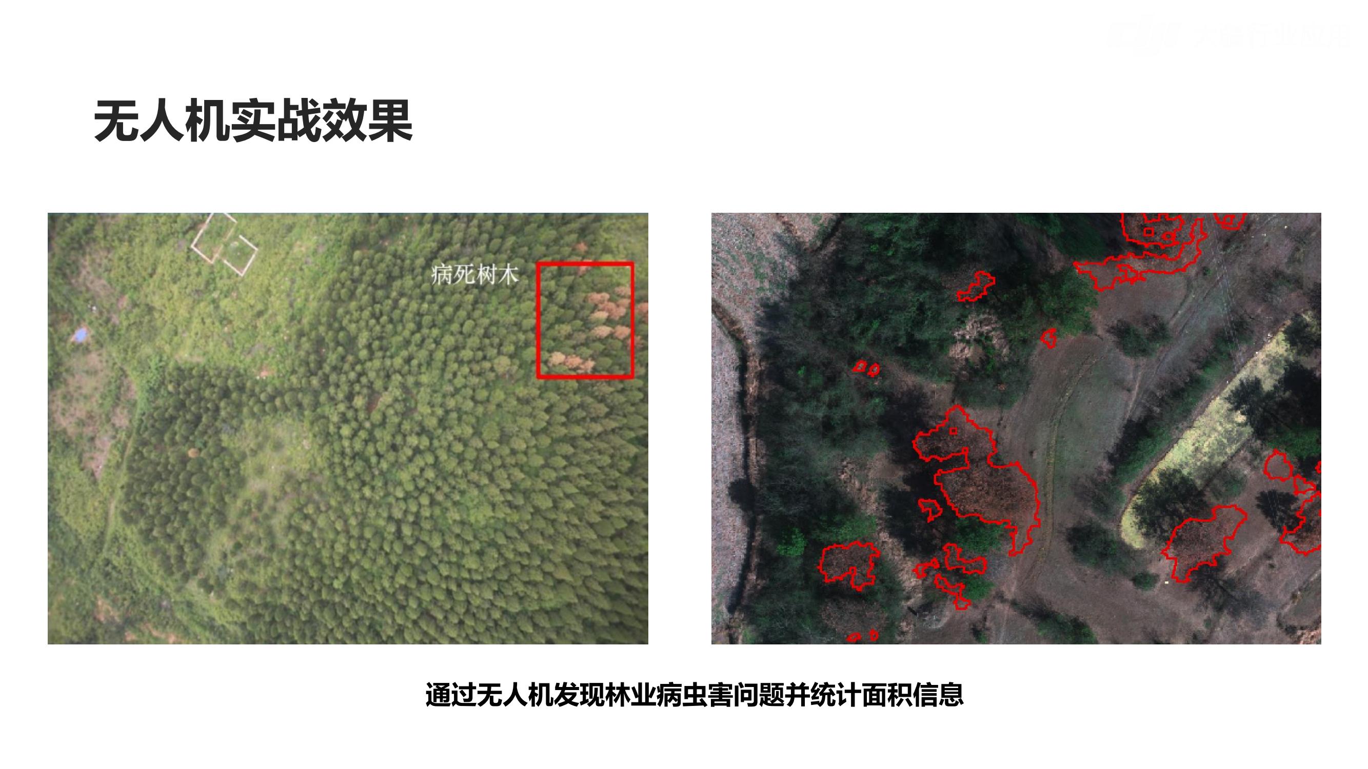 大疆行业应用林业解决方案_31